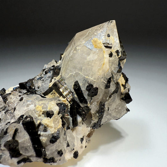 Black Tourmaline on Quartz - Skardu Pakistan - 218g - 8x7.2x5 cm