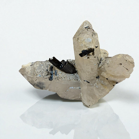 Black Tourmaline on Quartz Crystal from Gilgit | 56g - 6.5x4.5x3 cm