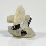 Black Tourmaline on Quartz - Skardu Pakistan - 70g - 5x5x4 cm