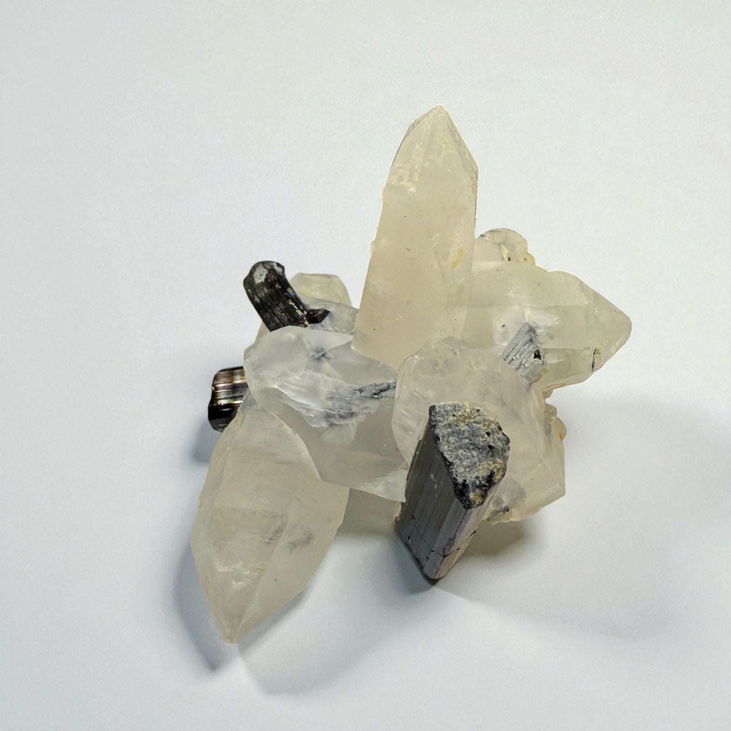 Black Tourmaline on Quartz - Skardu Pakistan - 70g - 5x5x4 cm