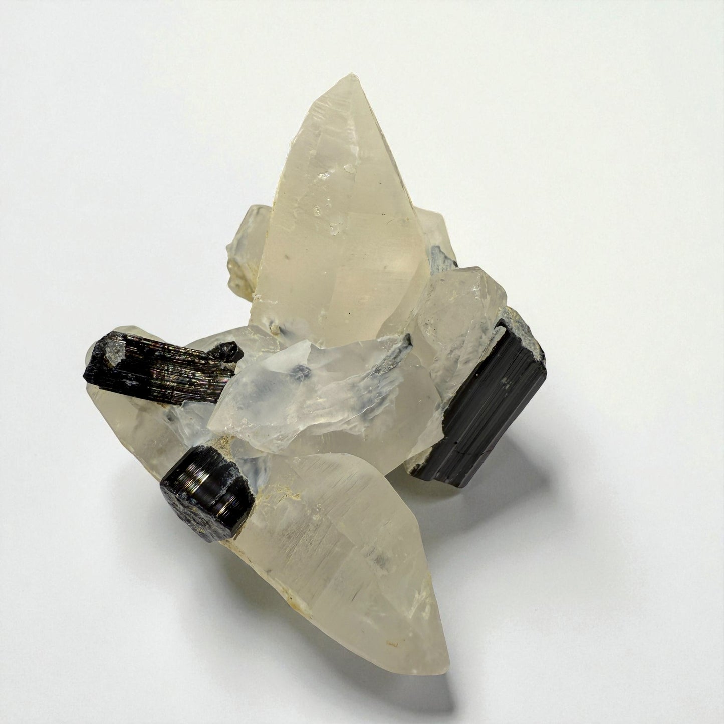 Black Tourmaline on Quartz - Skardu Pakistan - 70g - 5x5x4 cm