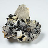 Black Tourmaline on Quartz - Skardu Pakistan - 218g - 8x7.2x5 cm