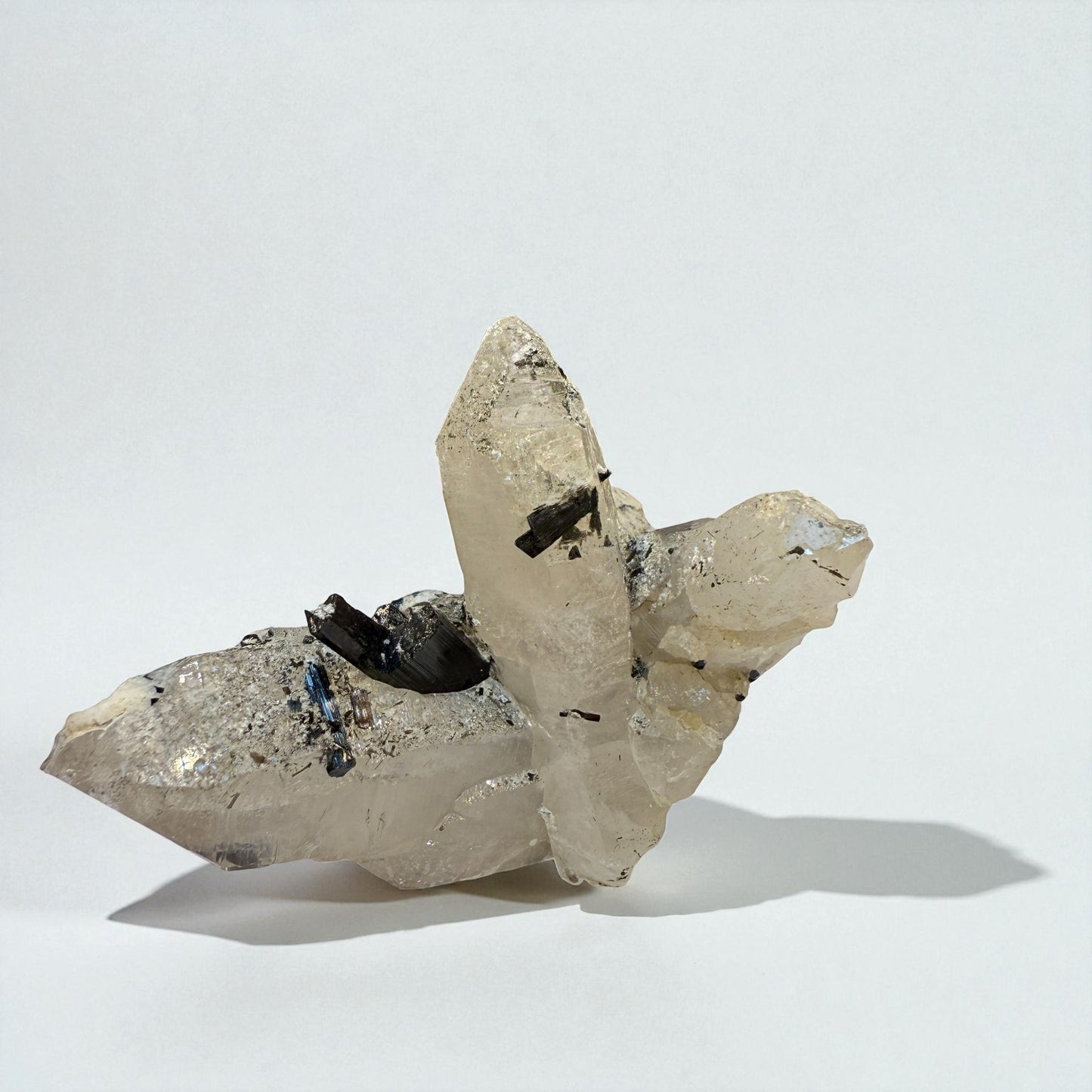 Black Tourmaline on Quartz Crystal from Gilgit | 56g - 6.5x4.5x3 cm