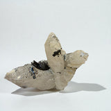 Black Tourmaline on Quartz Crystal from Gilgit | 56g - 6.5x4.5x3 cm