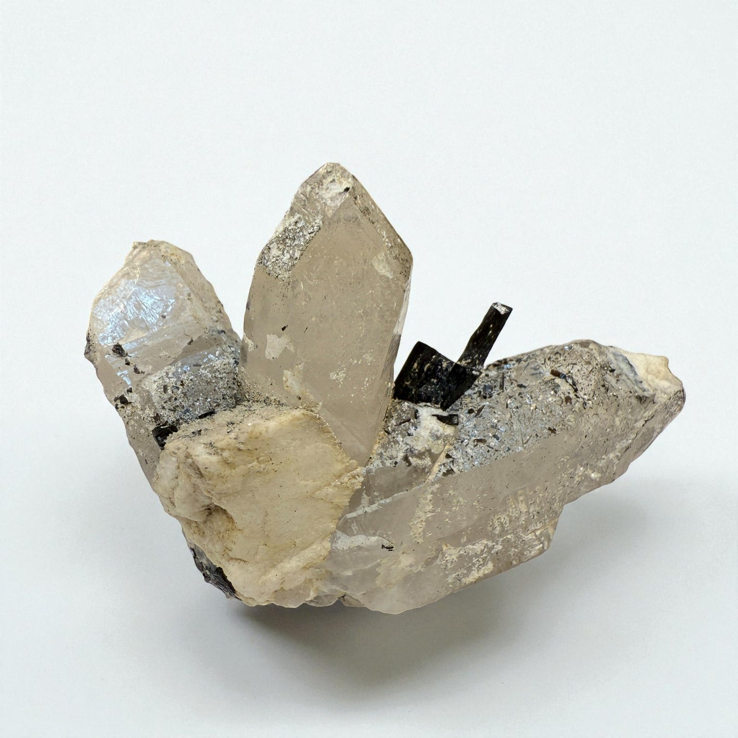 Black Tourmaline on Quartz Crystal from Gilgit | 56g - 6.5x4.5x3 cm