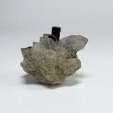 Black Tourmaline on Quartz Crystal from Gilgit - 21g - 4x3x1.5 cm
