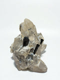 Black Tourmaline on Quartz - Skardu Pakistan - 30g - 4.5x3.5x2 cm