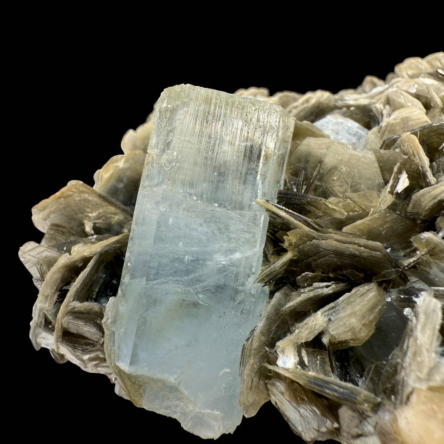 Aquamarine Crystal with Muscovite - Nagar Valley - 532g - 12x10x4 cm