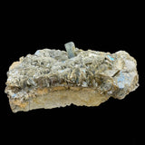 Aquamarine Crystal with Tourmaline - Nagar Valley - 1165 g - 16x12x6 cm