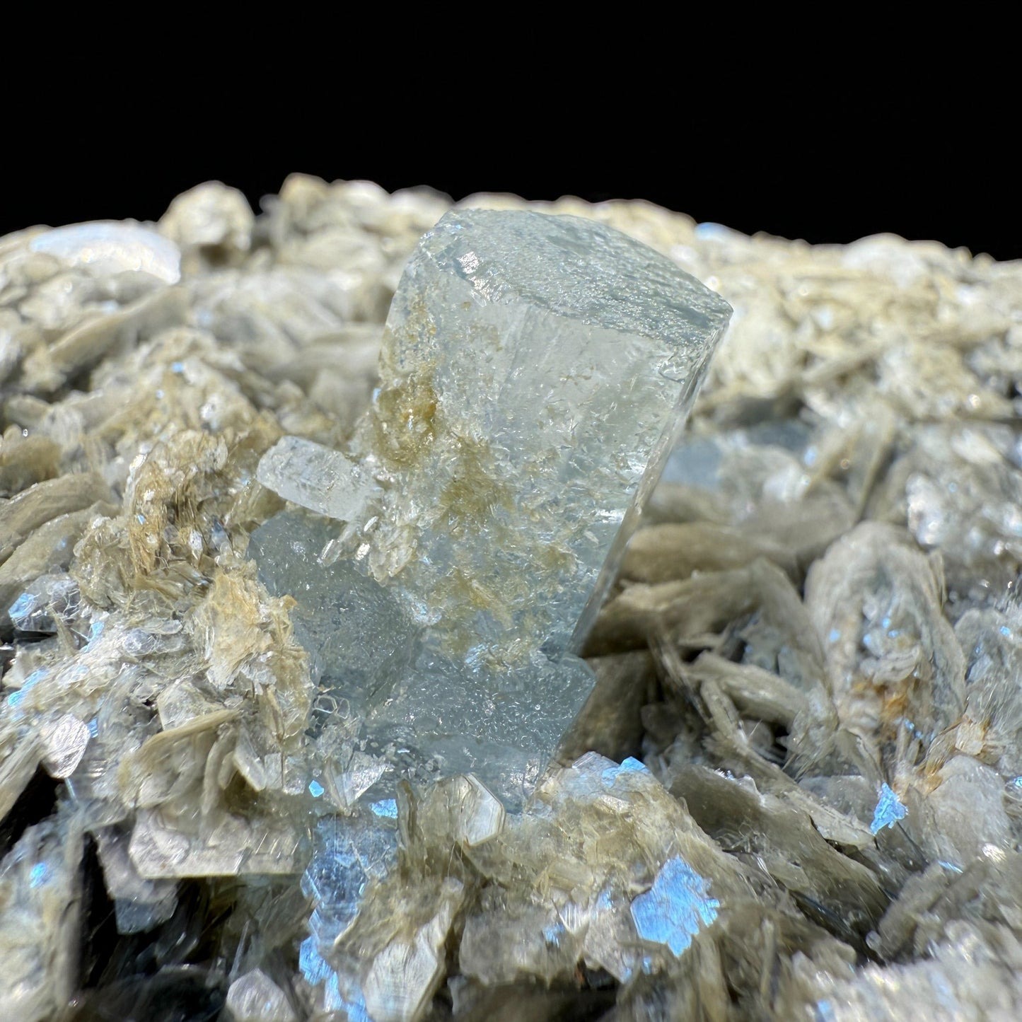 Aquamarine Crystal with Tourmaline - Nagar Valley - 1165 g - 16x12x6 cm