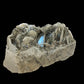Aquamarine Crystal with Muscovite - Nagar Valley - 265g - 9x6.5x4 cm