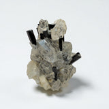 Black Tourmaline on Quartz - Skardu Pakistan - 17g - 3.5x3.x1.5 cm
